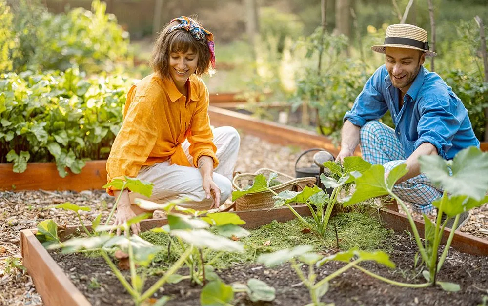 Hortoterapia e Jardinagem